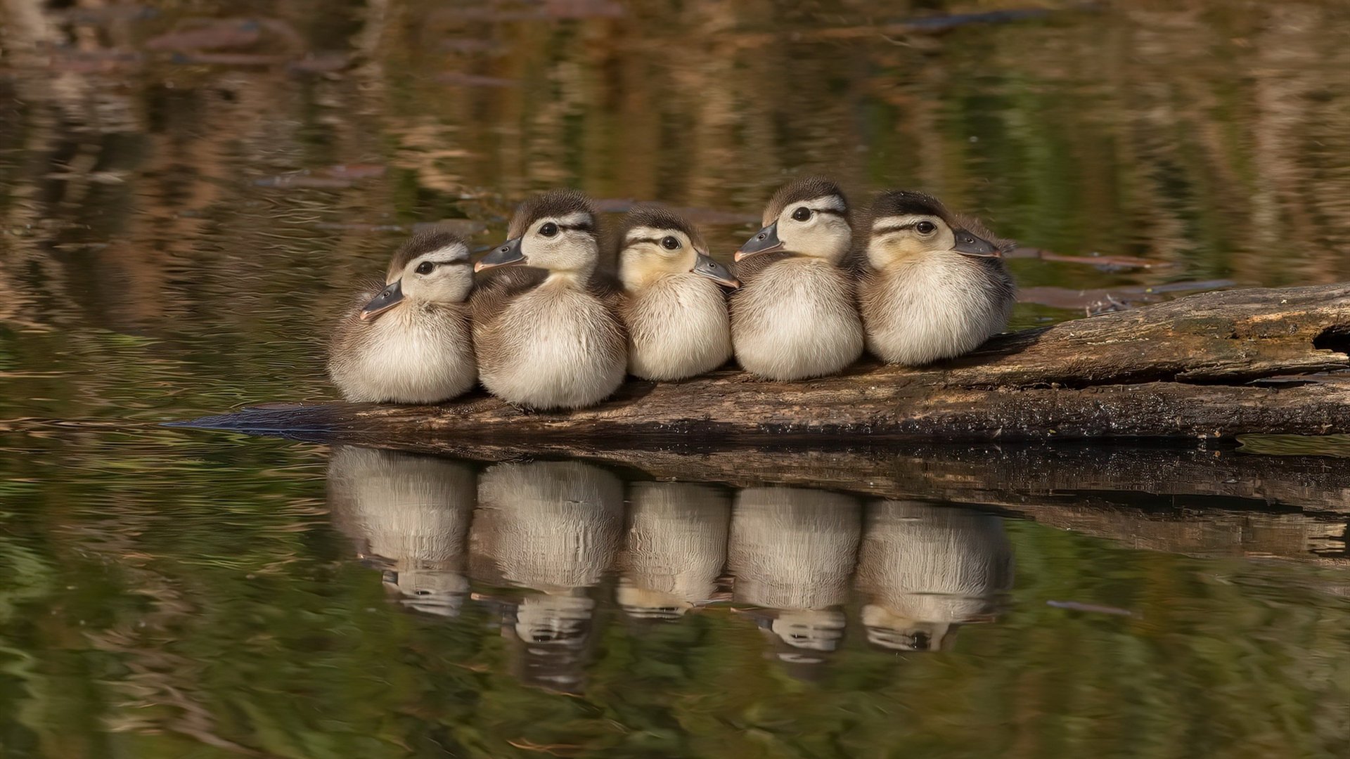 爱游戏综合娱乐-大型户外攀岩精英赛,超越自我挑战极限,野外攀岩视频比赛视频
