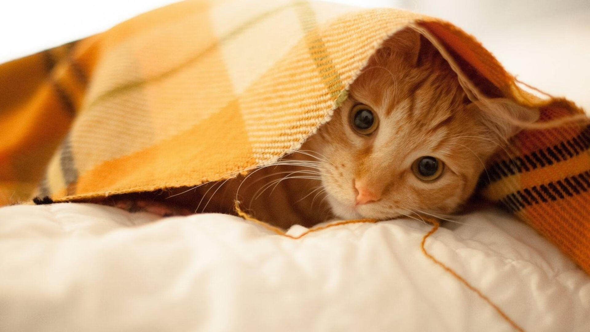 爱游戏体育官方网站-国际赛事火热进行,豪门球队展开激烈对抗,豪门球队排名