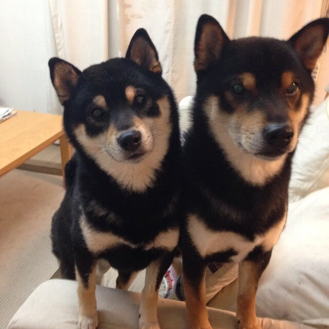 爱游戏-“飞跃东安湖:跑酷选手挑战最具难度的障碍赛道”