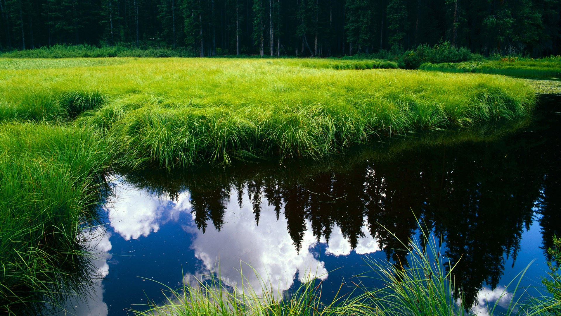 爱游戏中国官方登录入口网站-三年技术雷达图:中方均衡性增强