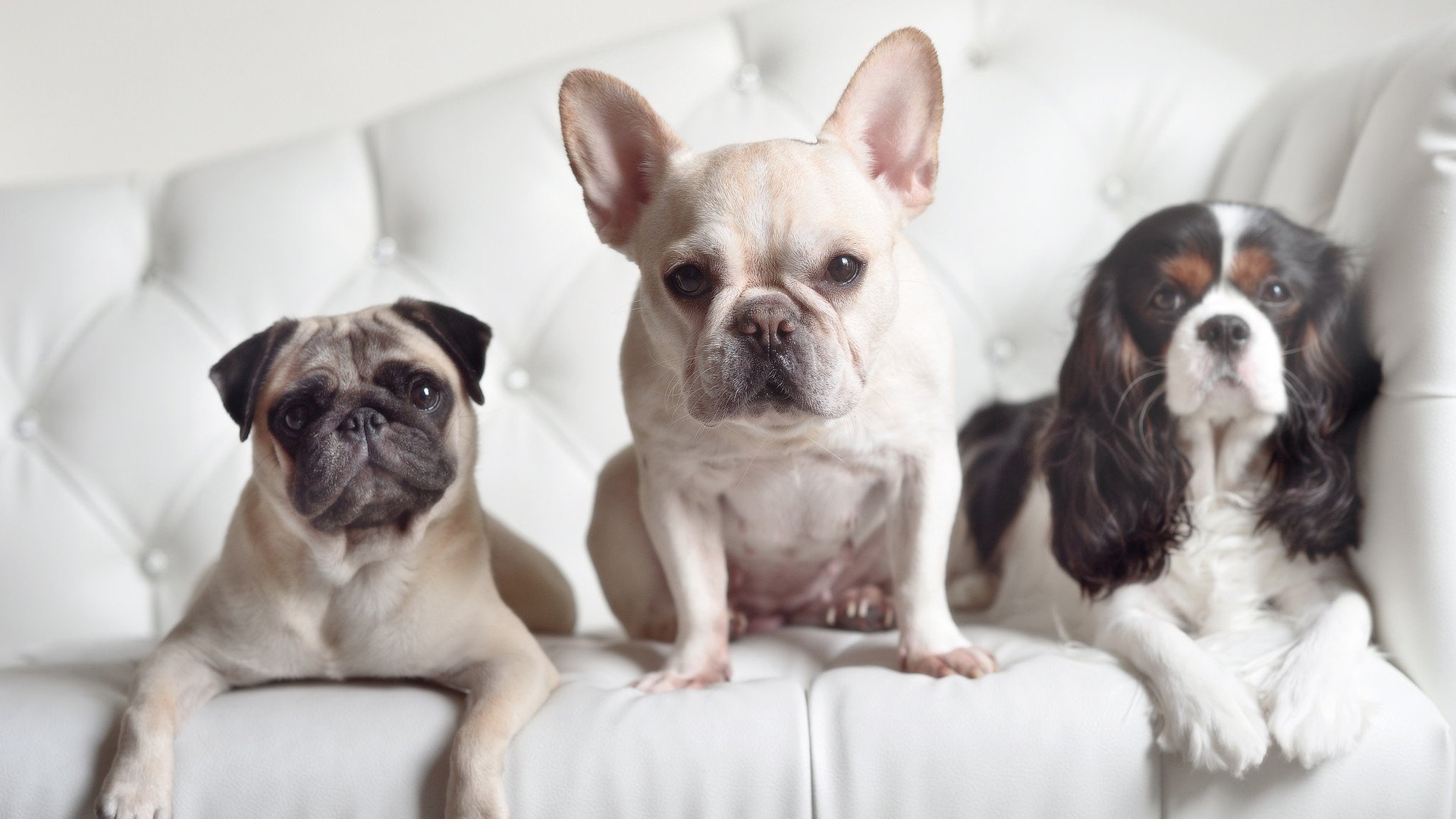 AYX SPORTS-足球人口数据再创新高青少年注册人数突破三百万，中国足球青少年注册人口